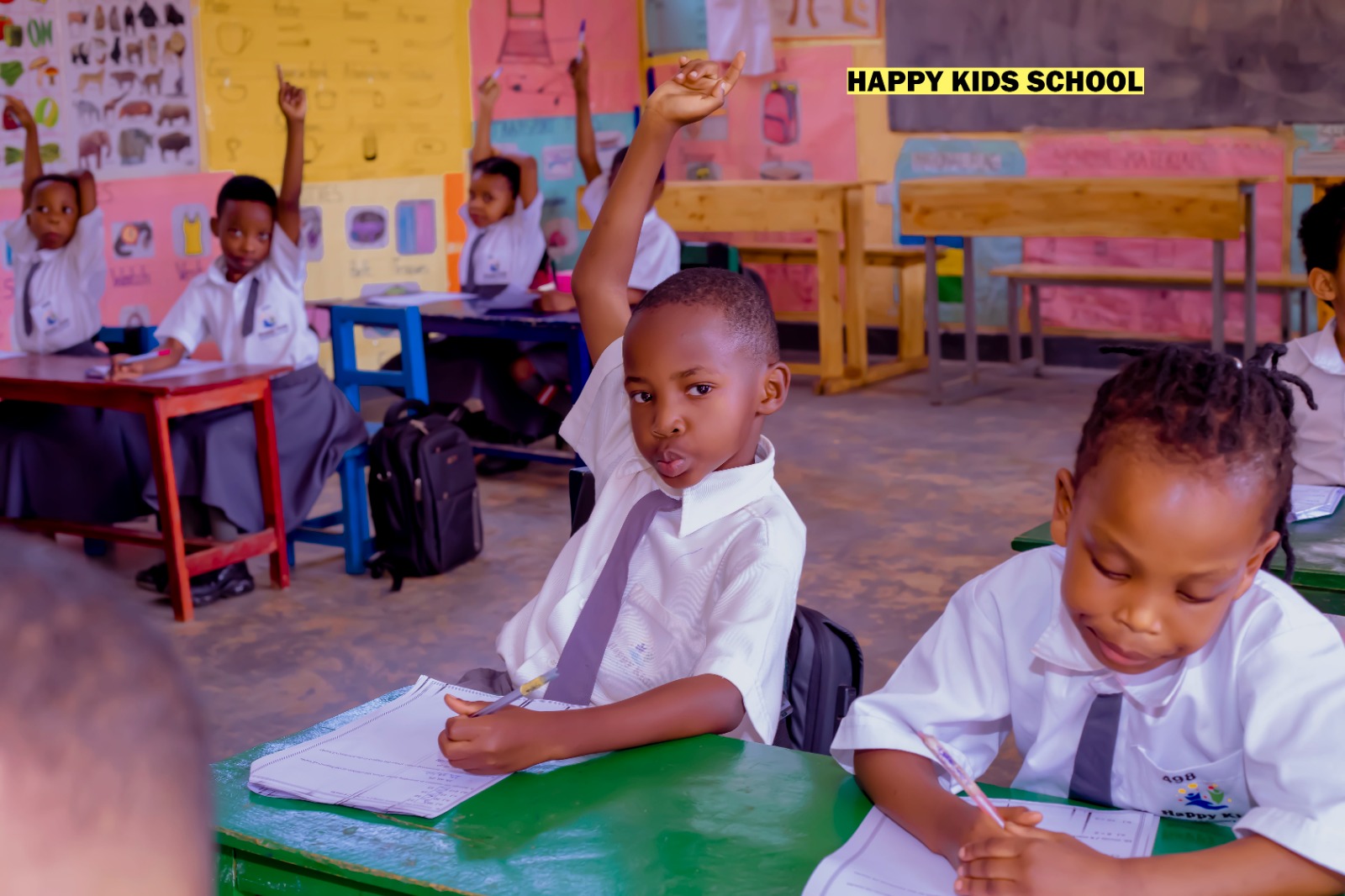 Unleashing the Imagination